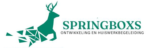 springboxs.nl